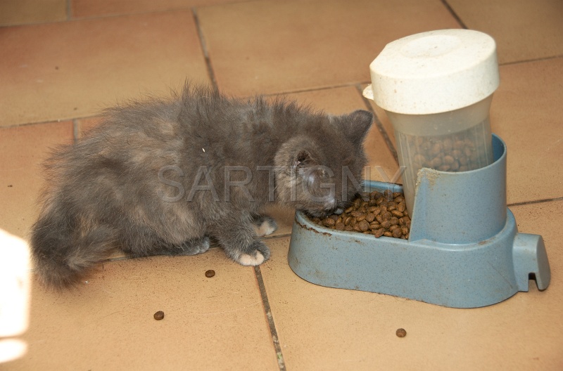 MANGE 003.jpg